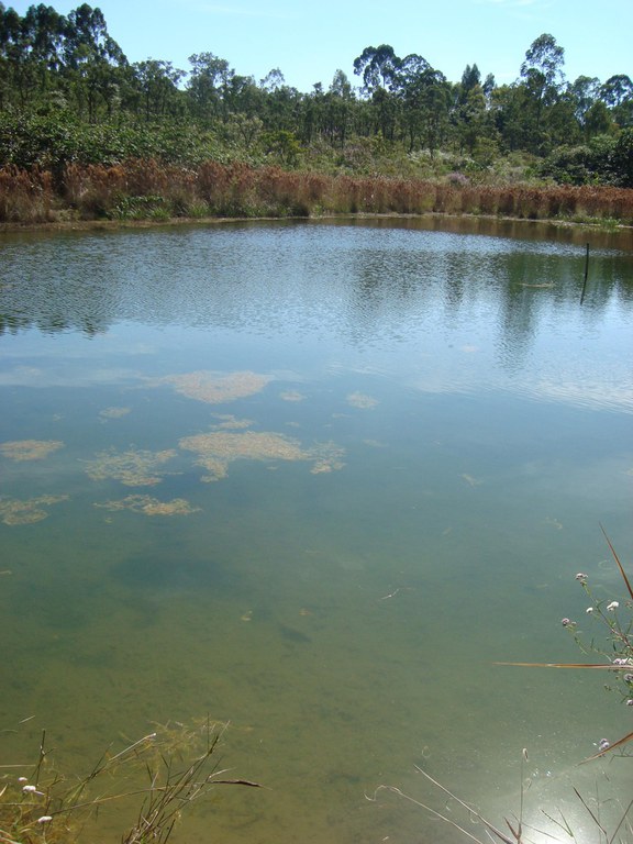 Imagem de lago seco reserva ufscar 